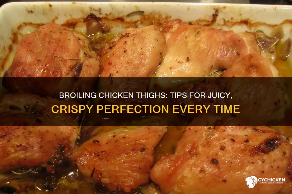 can i broil chicken thighs