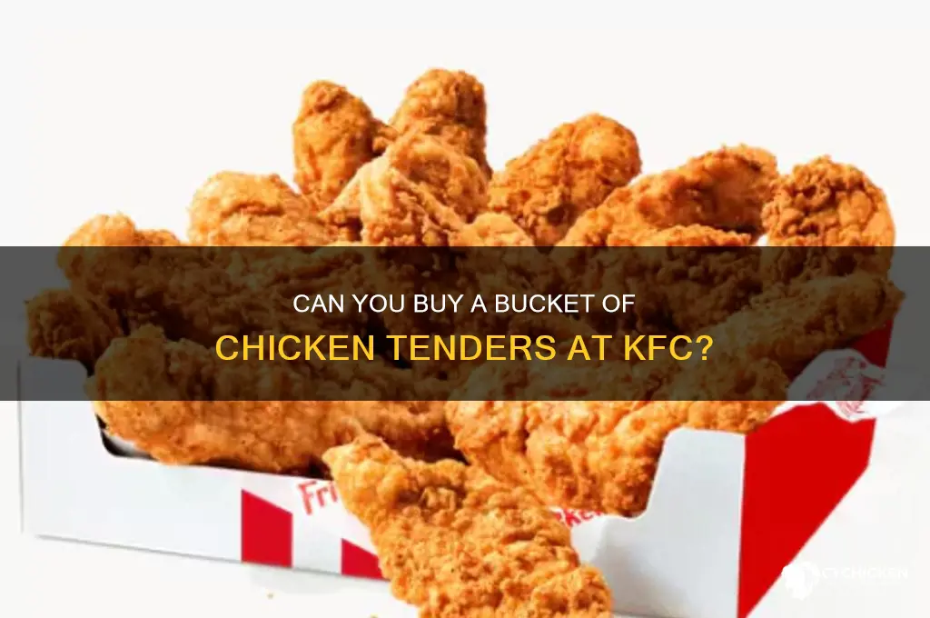 can i buy a bucket of chicken tendes at kfc