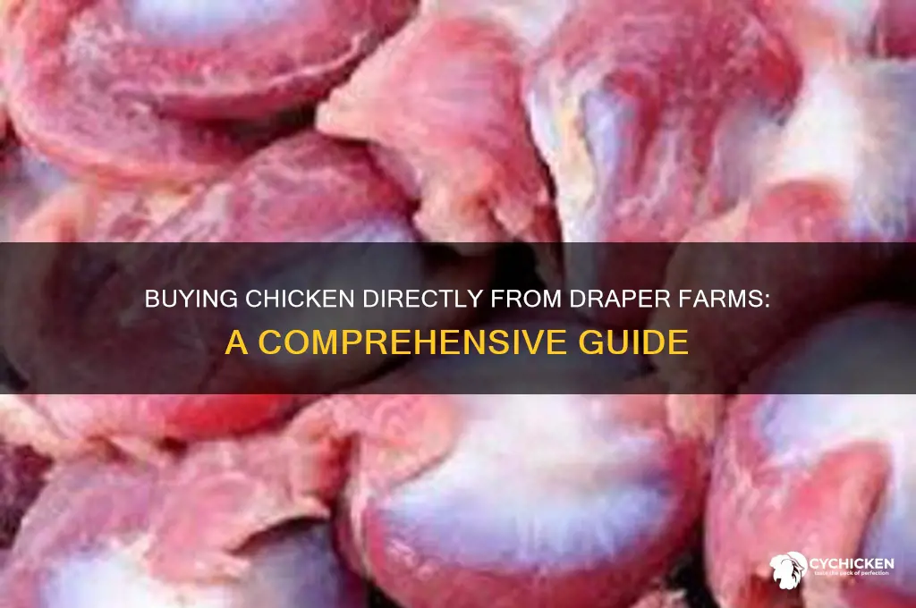 can i buy chicken directly from draper farms