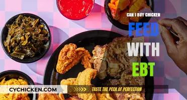 Using EBT for Chicken Feed: What You Need to Know