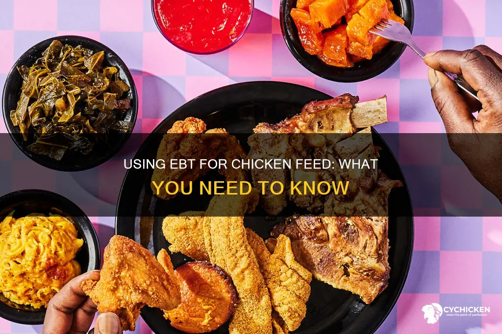 can i buy chicken feed with ebt