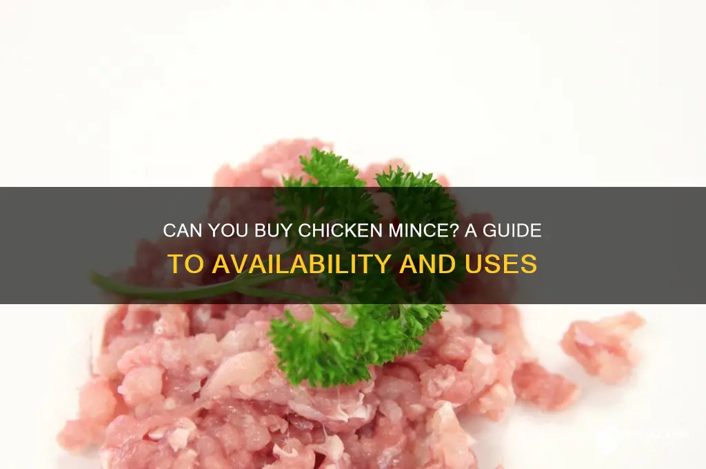 can i buy chicken mince