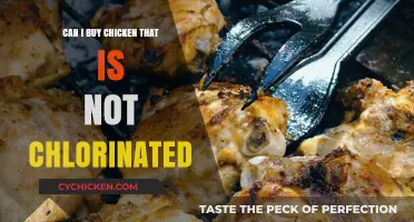 Chlorine-Free Chicken: Where to Find and How to Buy It