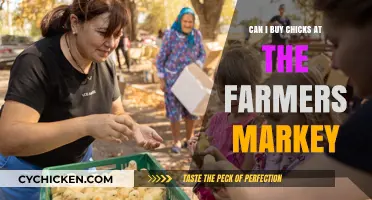 Buying Chicks at the Farmers Market: What You Need to Know