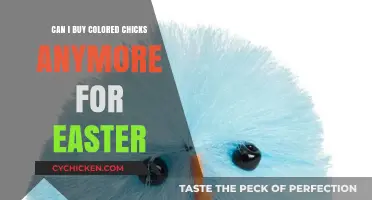 Colored Easter Chicks: Are They Still Available for Purchase?