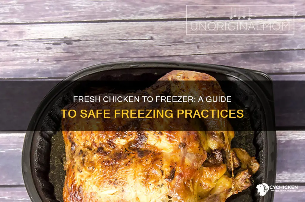 can i buy fresh chicken and freeze it