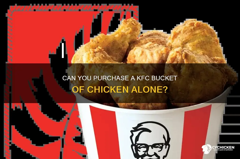 can i buy just a kfc bucket of chicken