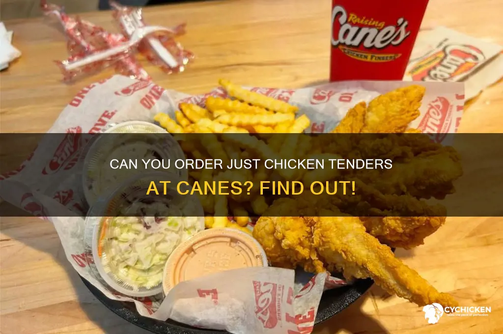 can i buy only chicken tenders at canes