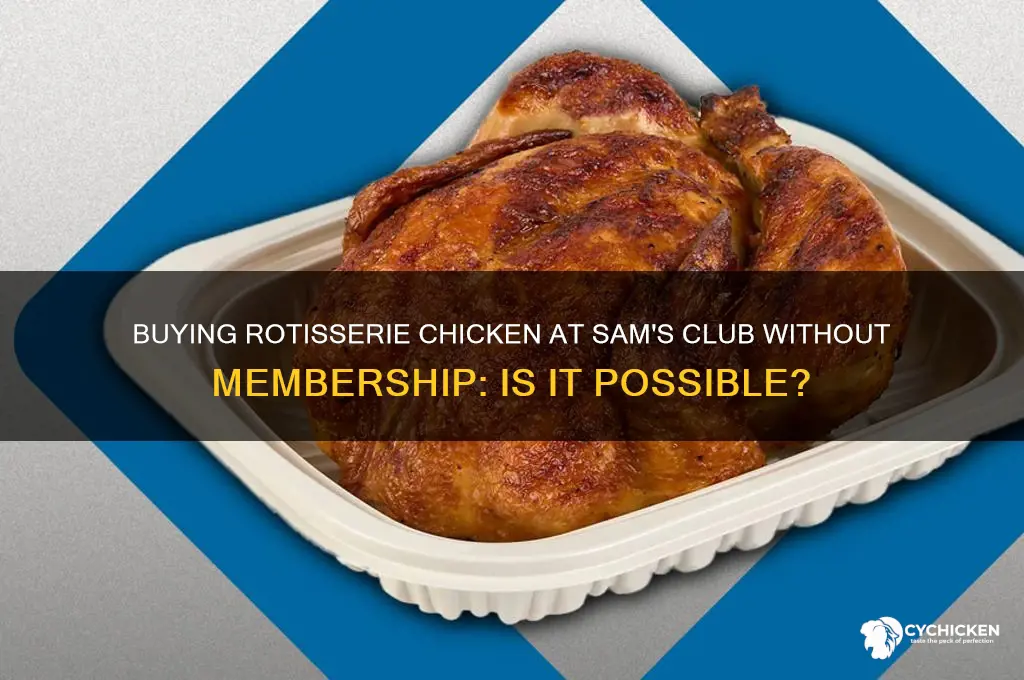 can i buy rotteristerie chicken from sams club without membership