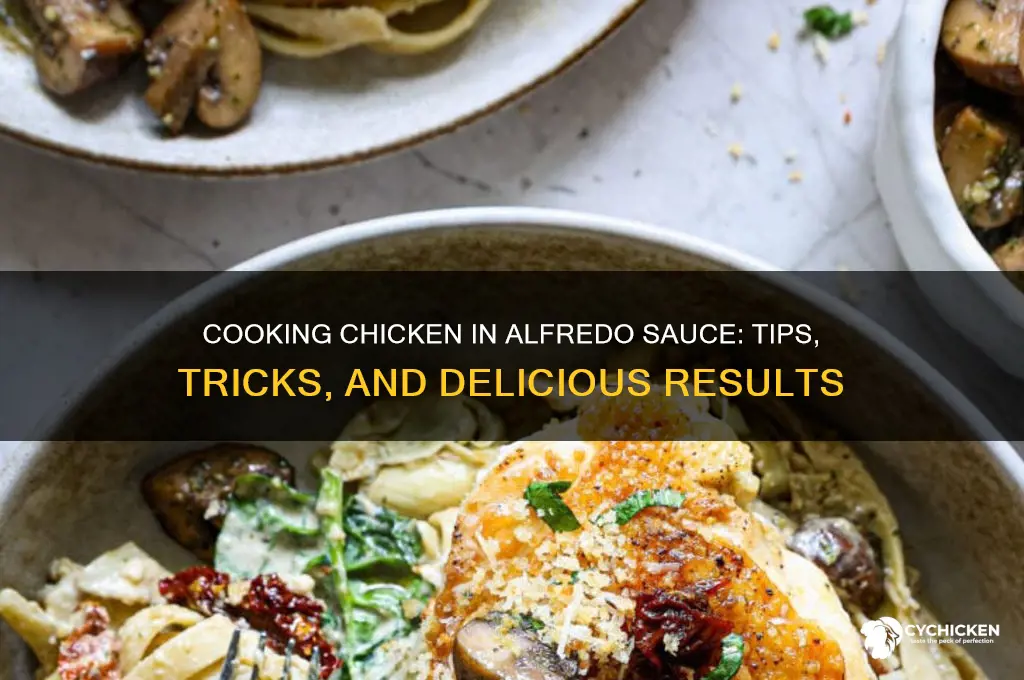 can i cook chicken in alfredo sauce