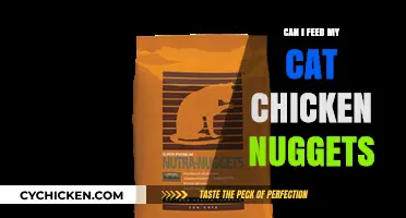 Can Cats Eat Chicken Nuggets? A Vet-Approved Guide for Pet Owners