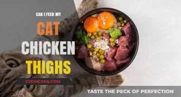Can Cats Eat Chicken Thighs? A Safe Feeding Guide for Owners