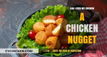 Can Chickens Eat Chicken Nuggets? Surprising Facts You Need to Know