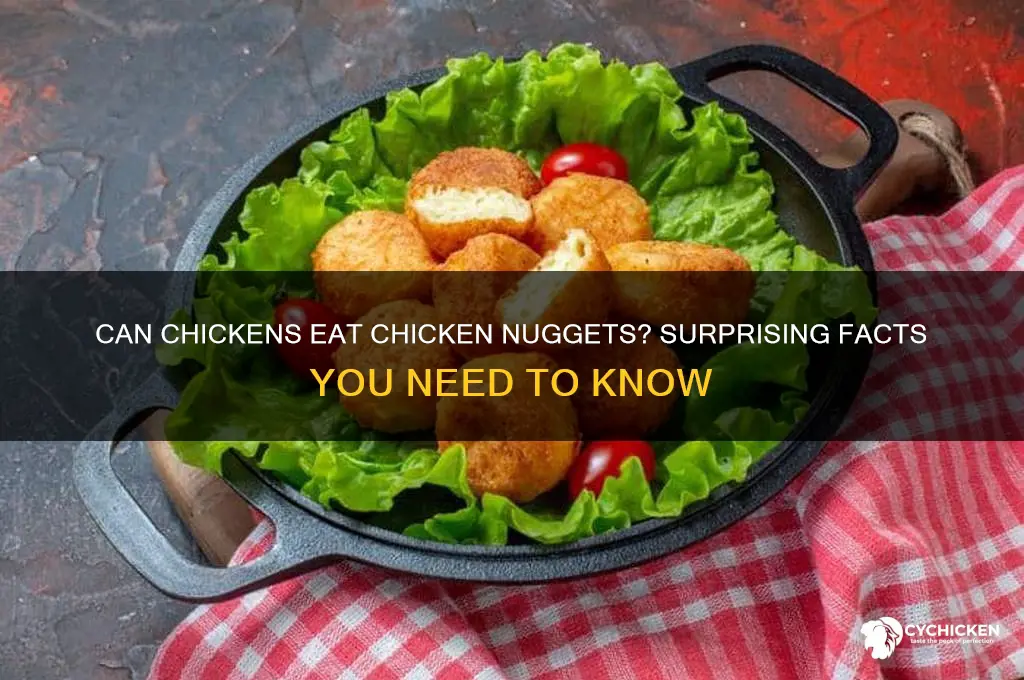 can i feed my chicken a chicken nugget