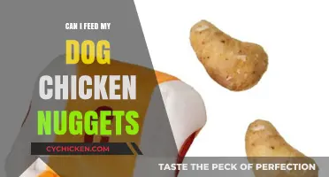 Can Dogs Eat Chicken Nuggets? A Vet-Approved Guide for Pet Owners