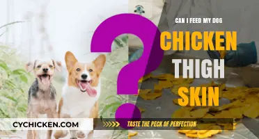 Is Chicken Thigh Skin Safe for Dogs? A Complete Guide