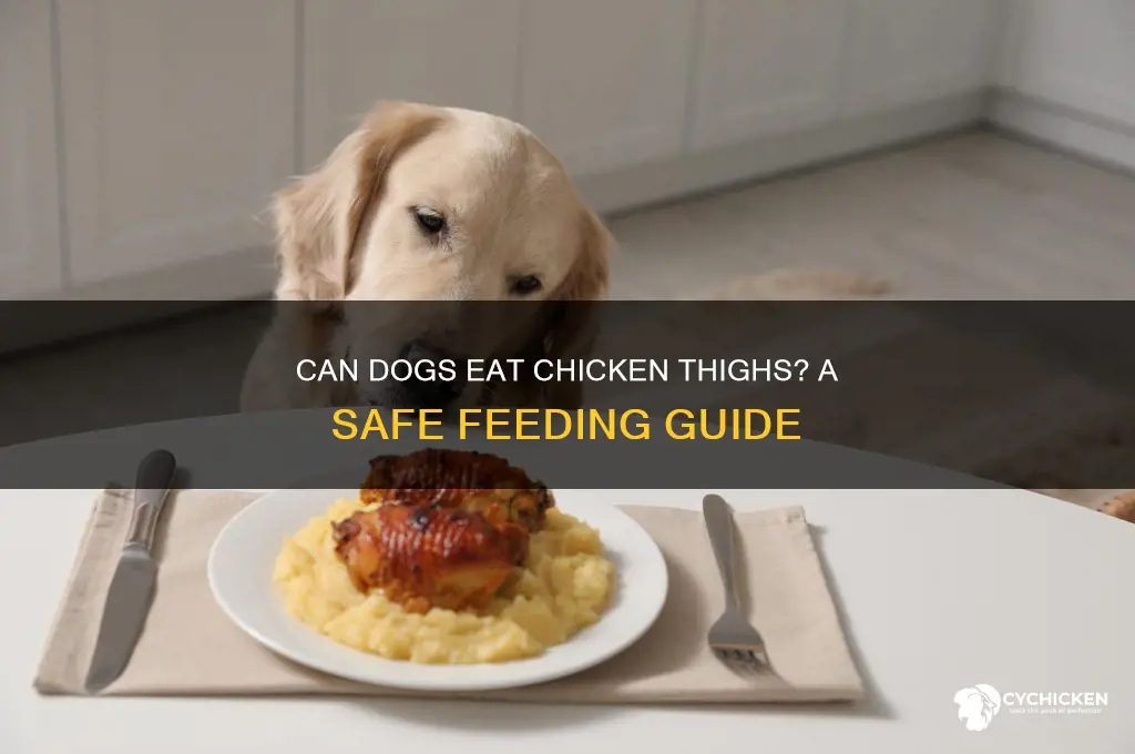 can i feed my dog chicken thighs