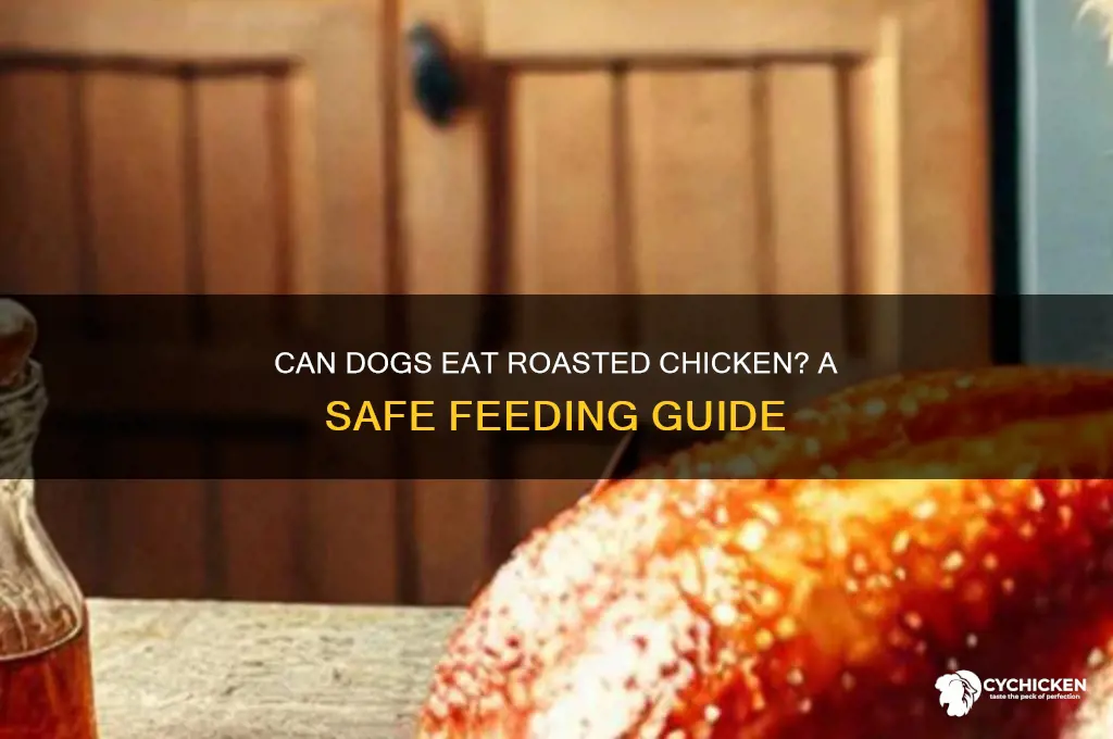 can i feed my dog roasted chicken