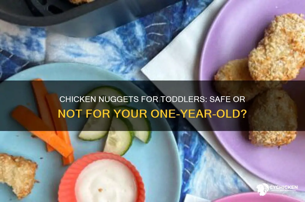 can i feed my one year old chicken nuggets