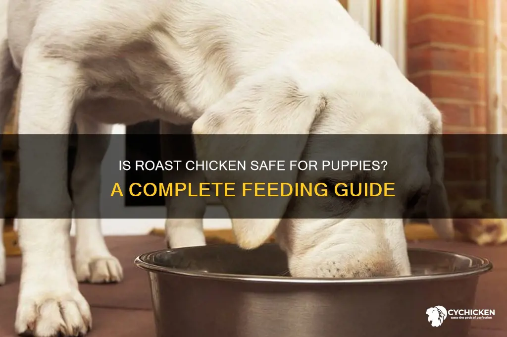 can i feed my puppy roast chicken