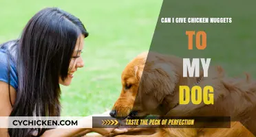 Can Dogs Eat Chicken Nuggets? A Vet-Approved Feeding Guide
