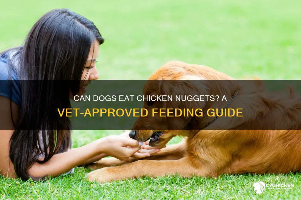 can i give chicken nuggets to my dog