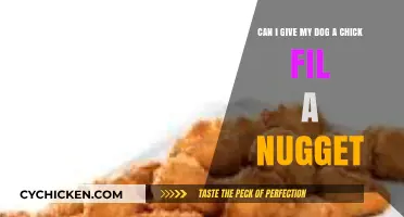 Can Dogs Eat Chick-fil-A Nuggets? A Pet Owner's Guide