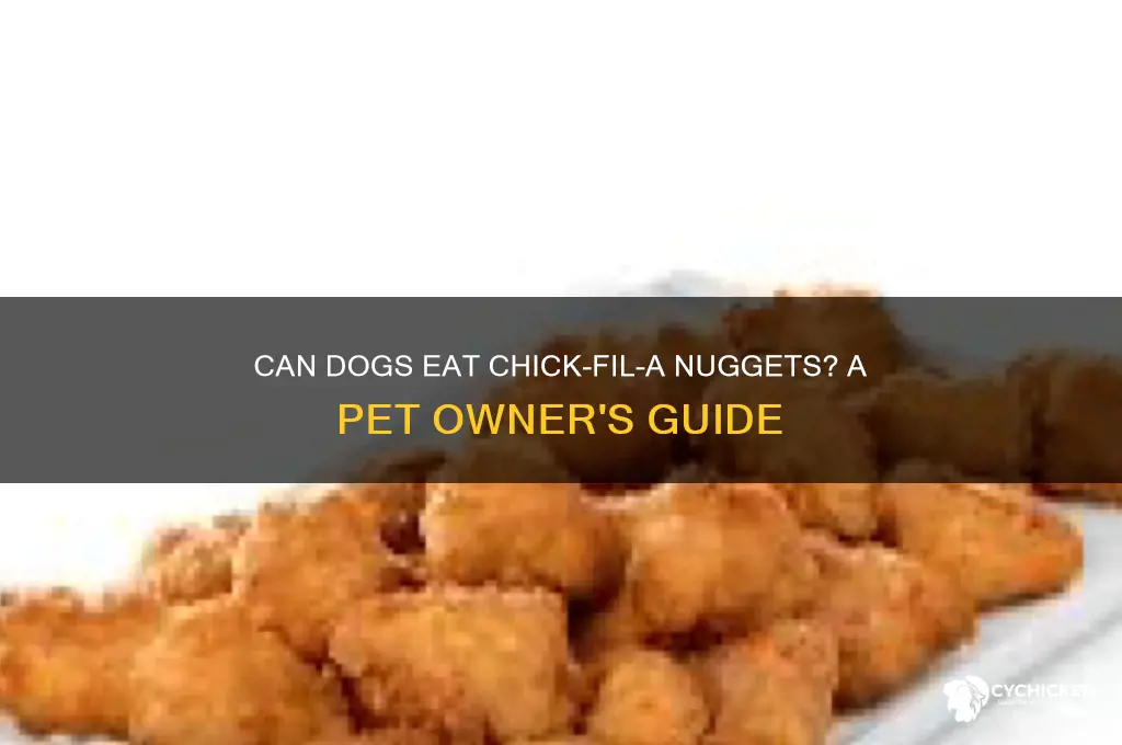 can i give my dog a chick fil a nugget