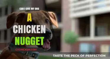 Can Dogs Eat Chicken Nuggets? A Vet-Approved Feeding Guide