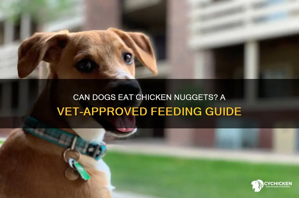 can i give my dog a chicken nugget