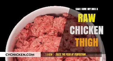 Is Raw Chicken Thigh Safe for Your Dog? Expert Advice