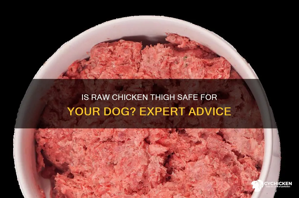 can i give my dog a raw chicken thigh