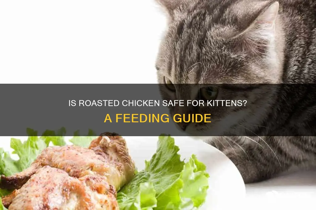 can i give my kittens roasted chicken