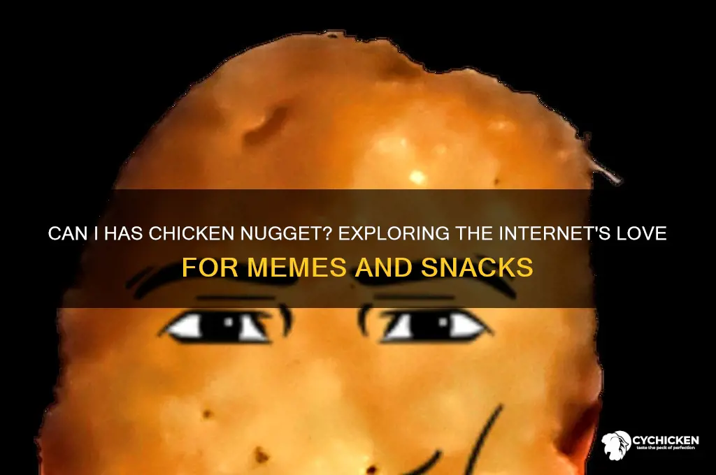can i has chicken nugget