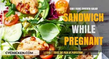 Pregnancy-Safe Chicken Salad Sandwich: What You Need to Know