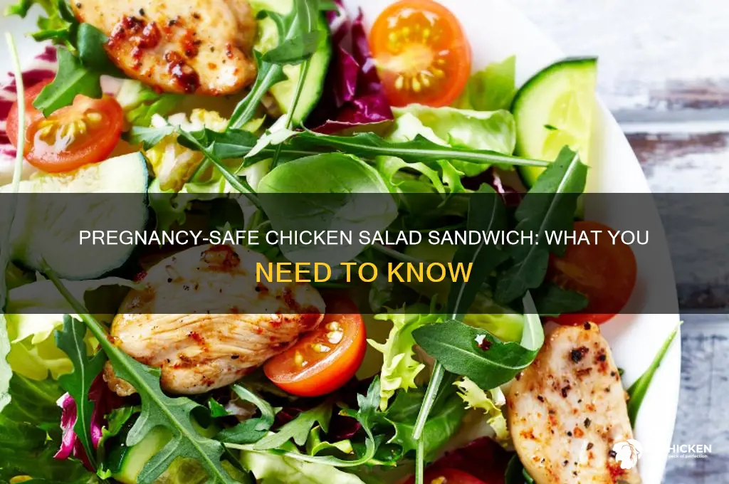 can i have chicken salad sandwich while pregnant
