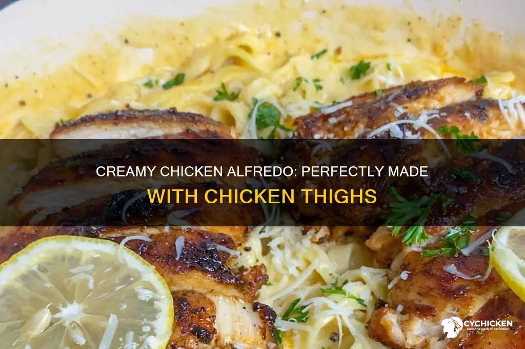 can i make chicken alfredo with chicken thighs