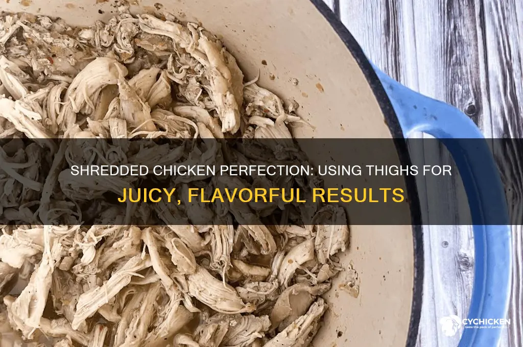 can i make shredded chicken with thighs