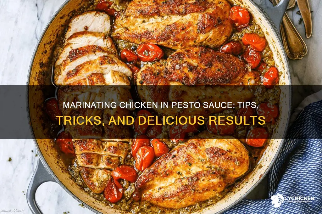 can i marinate chicken in pesto sauce