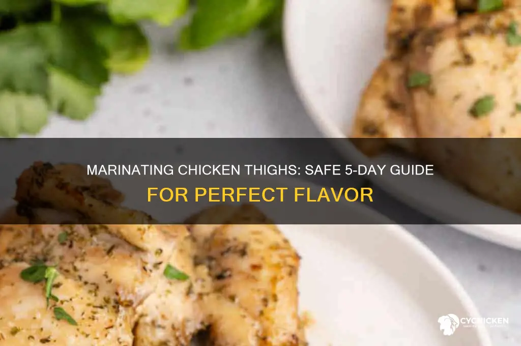 can i marinate chicken thighs for five days