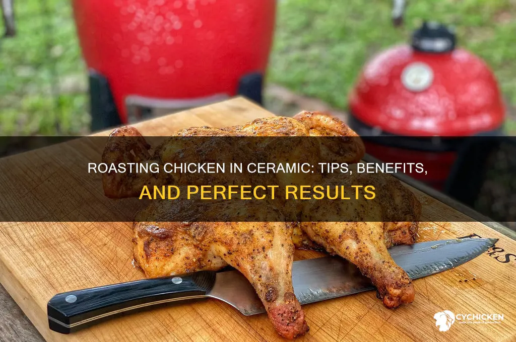 can i roast a chicken in a ceramic dish