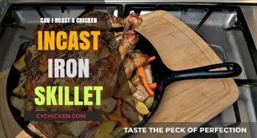 Perfectly Roasted Chicken in a Cast Iron Skillet: Tips & Tricks