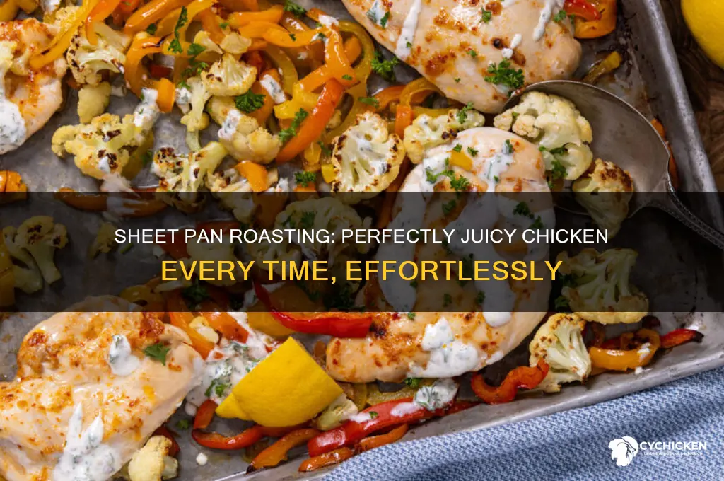 can i roast a chicken on a sheet pan