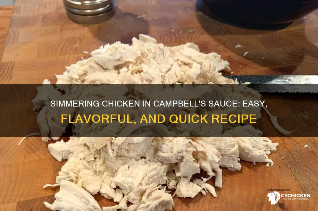 can i simmer chicken in campbell
