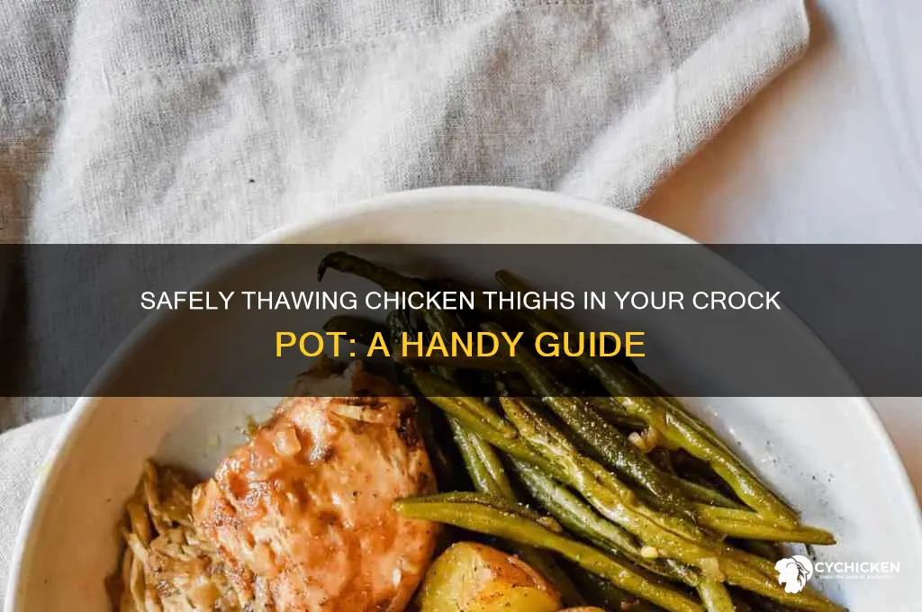 can i thaw chicken thighs in my crock pot