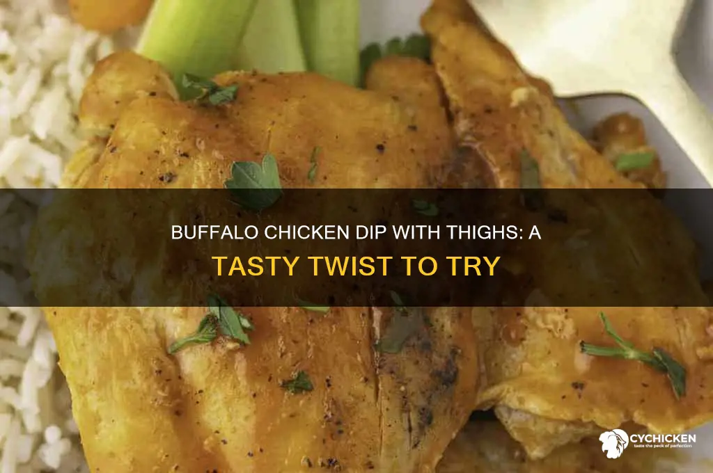 can i use chicken thighs for buffalo chicken dip
