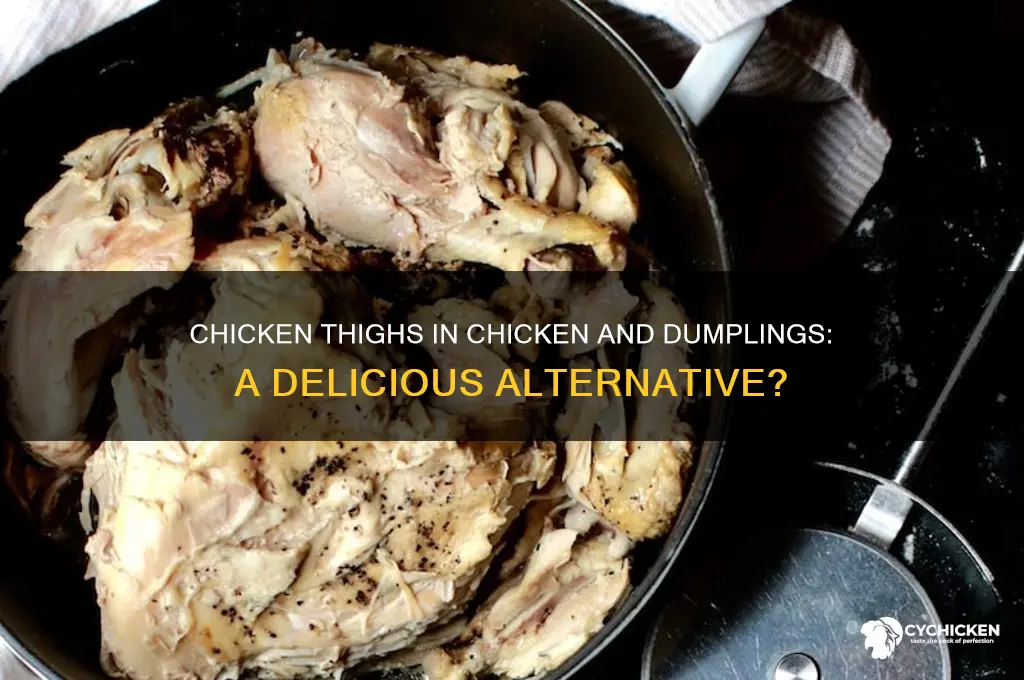 can i use chicken thighs for chicken and dumings