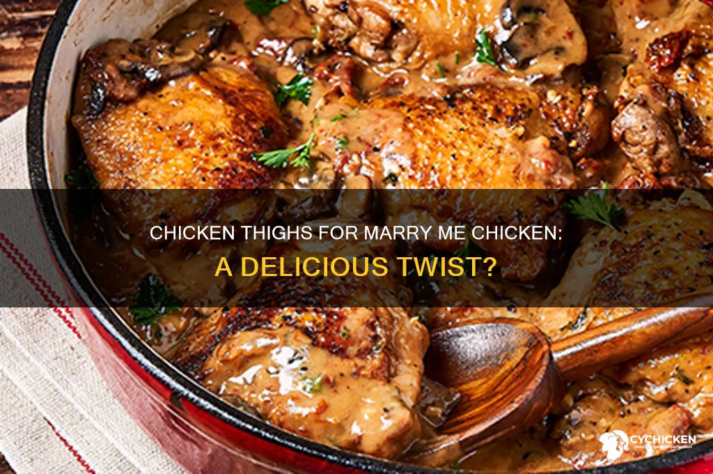 can i use chicken thighs for marry me chicken