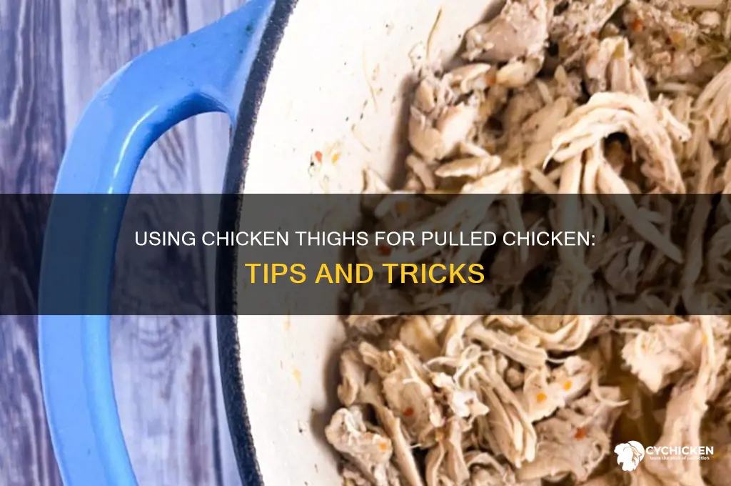 can i use chicken thighs for pulled chicken