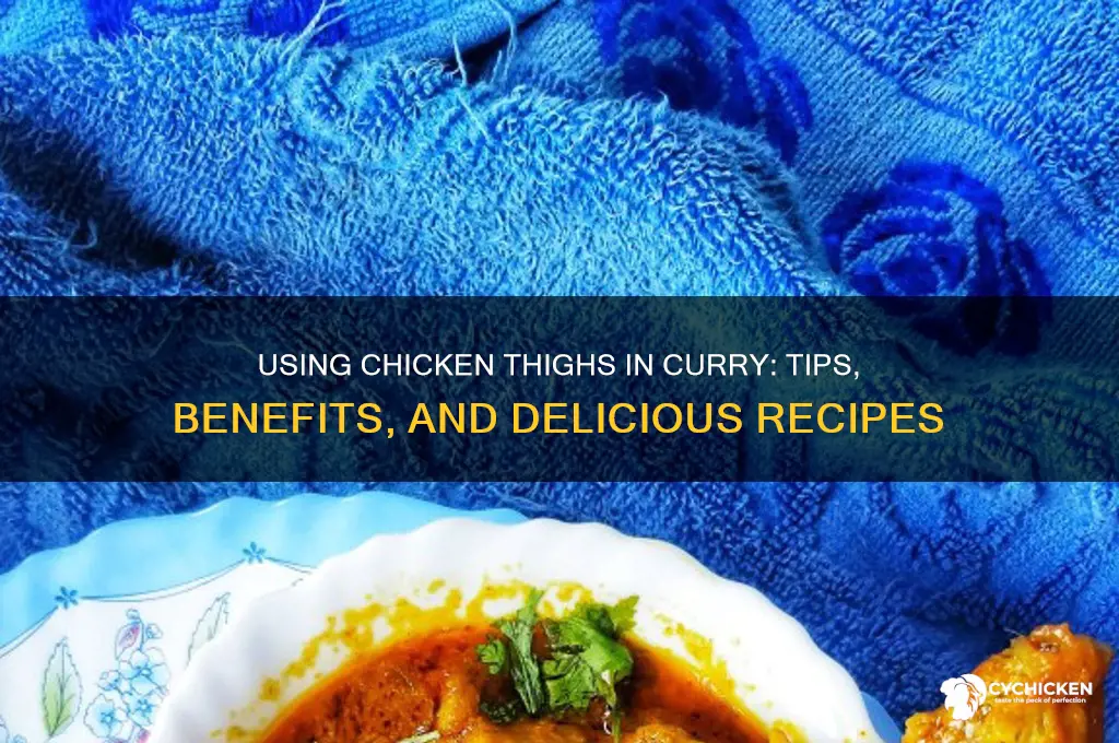 can i use chicken thighs in curry